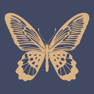 Vektör kelebek kalıbı. Zarif böcek süsü tasarımı. Klasik arabesk motifi