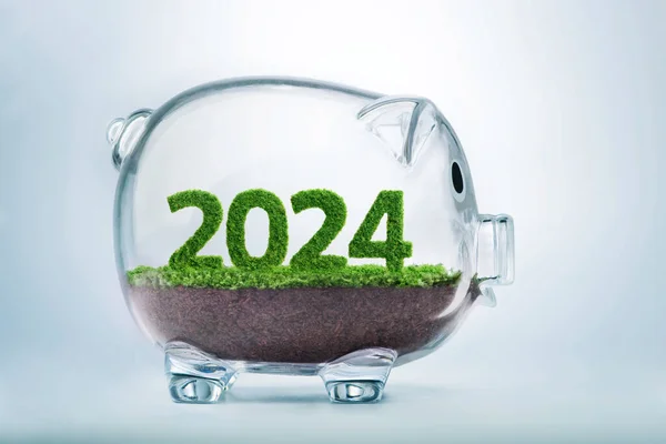 2024年是生意兴隆的一年 2024年的样子 生长在一个透明的猪笼里的草 免版税图库照片
