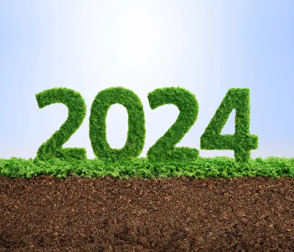 2024 Buen Año Para Crecimiento Las Empresas Medioambientales Hierba Creciendo Imagen de stock