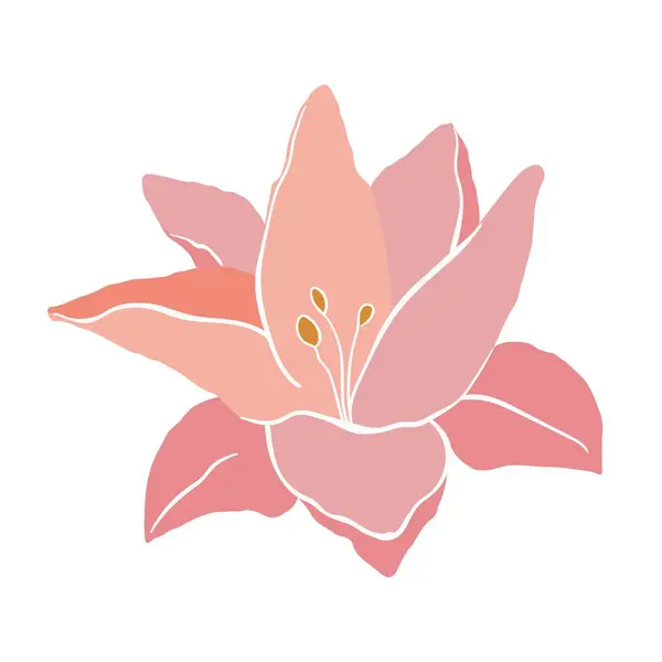 Σύγχρονο Αφηρημένο Λουλούδι Κρίνου Διάνυσμα Χαριτωμένο Εικόνα Λευκό Φόντο Διάνυσμα Αρχείου