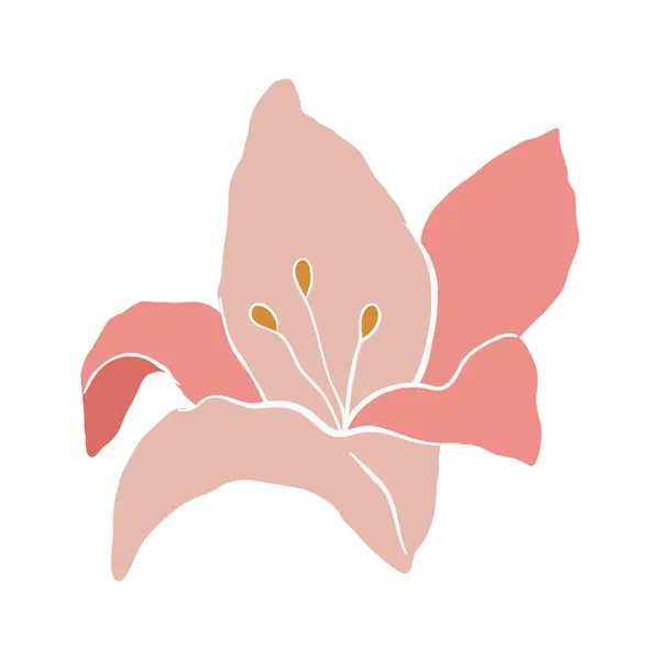 Σύγχρονο Αφηρημένο Λουλούδι Κρίνου Διάνυσμα Χαριτωμένο Εικόνα Λευκό Φόντο Διανυσματικά Γραφικά