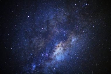 Lantana Camara çiçeklerini kapatın.