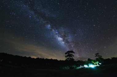 Samanyolu ve Phu Hin Rong Kla Milli Parkı, Phitsanulok Tayland, uzun pozlama photograph.with tahıl ağaca silüeti