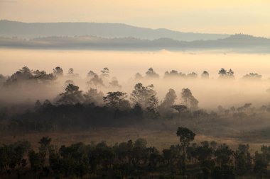 Puslu sabah güneş doğarken Mulk Salang Luang Milli Parkı: Phetchabun, Tung argo luang Tayland otlak savannah olduğunu.