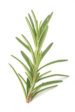 Beyaz arkaplanda biberiye izole edildi