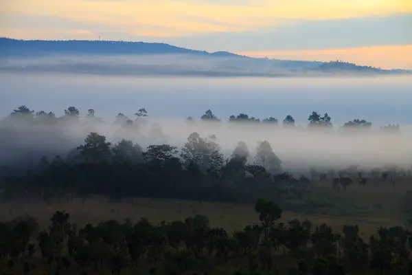 Misty morning sunrise at Thung Salang Luang National Park Phetchabun,Tung slang luang is Grassland savannah in Thailand