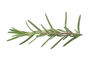 Beyaz arkaplanda biberiye izole edildi