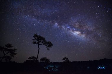 Yıldızlı gece gökyüzü ve Samanyolu Galaksisi Evrende yıldızlar ve uzay tozuyla