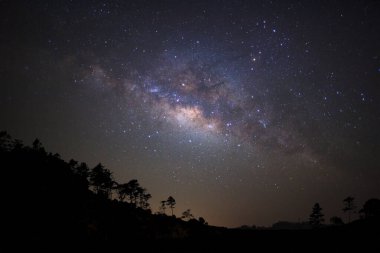 Ağaç evrenin Samanyolu galaksi ve uzay toz ile yıldız ile gece yıldızlı gökyüzü manzara siluet 