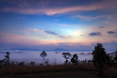 Thung Salang Luang Ulusal Parkı Phetchabun, Tung Argluang 'da sabah vakti manzara sisi Tayland' daki Grassland savanasıdır.