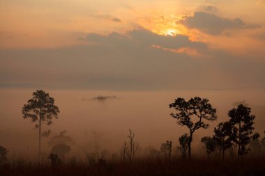 Thung Salang Luang Ulusal Parkı Phetchabun, Tung Argluang 'da sabah vakti manzara sisi Tayland' daki Grassland savanasıdır.