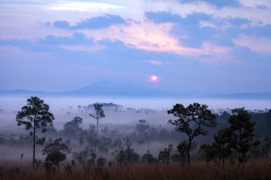 Thung Salang Luang Ulusal Parkı Phetchabun, Tung Argluang 'da sabah vakti manzara sisi Tayland' daki Grassland savanasıdır.