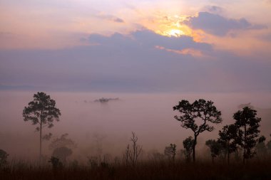 Thung Salang Luang Ulusal Parkı Phetchabun, Tung Argluang 'da sabah vakti manzara sisi Tayland' daki Grassland savanasıdır.