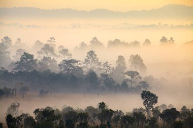 Thung Salang Luang Ulusal Parkı Phetchabun, Tung Argluang 'da sabah vakti manzara sisi Tayland' daki Grassland savanasıdır.