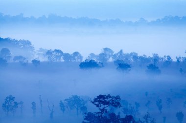 Thung Salang Luang Ulusal Parkı Phetchabun, Tung Argluang 'da sabah vakti manzara sisi Tayland' daki Grassland savanasıdır.