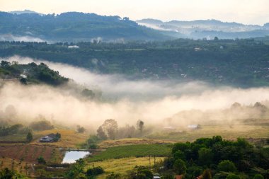 Khao-kho Phetchabun, Tayland 'daki Khao Takhian Ngo Manzara Noktası' nda sabah güneşiyle birlikte ormanda sis var.