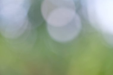 Işığın soyut dairesel bokeh arkaplanı