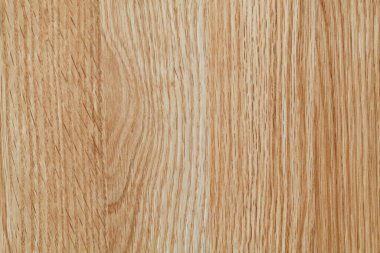 Arka plan ağaç doku