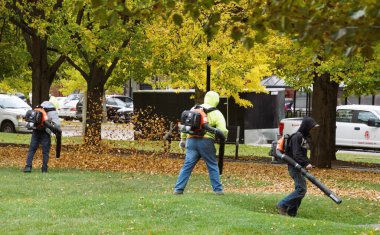 Corning, New York, ABD - 18 Ekim 2022 - Yaprak üfleyicili bir grup işçi tarladaki sonbahar yapraklarını temizliyor