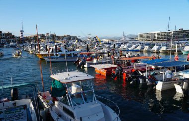 Cabo San Lucas, Meksika - 7 Kasım 2022 - Güneşli bir günde körfez kenarındaki yat limanının manzarası