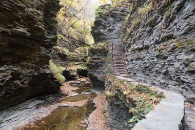 Watkins Glens Falls, New York, ABD yakınlarındaki dar vadi boyunca güzel manzara ve yürüyüş yolları.