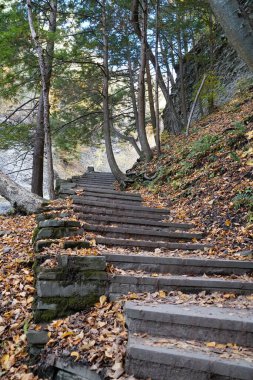Buttermilk Falls, Ithaca, New York, ABD yakınlarındaki yürüyüş yolunda merdivenler.