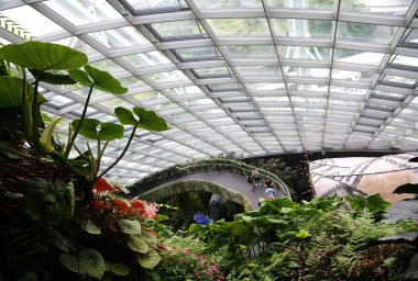 Singapur Sahil Bahçeleri - 19 Şubat 2023 - Cloud Forest yeşil cam binasının gündüz manzarası