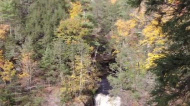Güzel Bushkill Şelalesi 'nin, Poconos Dağı, Pennsylvania, ABD yakınlarındaki çarpıcı sonbahar yeşilliklerine bakan hava manzarası 4K 60fps' de çekildi.