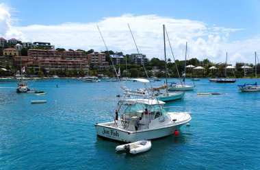 St John, ABD Virgin Adaları - 21 Şubat 2024 - Körfezde 