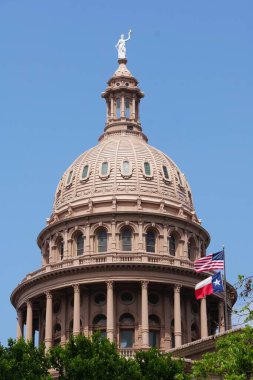 Austin, Teksas, ABD - 10 Nisan 2024 Teksas Kongre Binası 'nın uzak manzarası