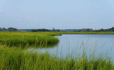 Sabahın erken saatlerinde Lewes, Delaware, ABD yakınlarındaki Canary Creek 'in huzurlu bir manzarası.