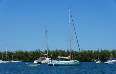 Key Biscayne, Florida, ABD - 22 Eylül 2024 Güneşli bir günde körfez kenarındaki tekne ve yatların manzarası