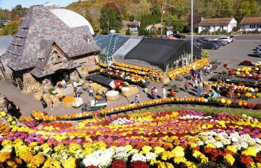 Schwenksville, Pennsylvania, ABD - 19 Ekim 2024 Ott 'un Egzotik Fabrikaları' ndaki dev tepeyi dolduran binlerce renkli annenin manzarası