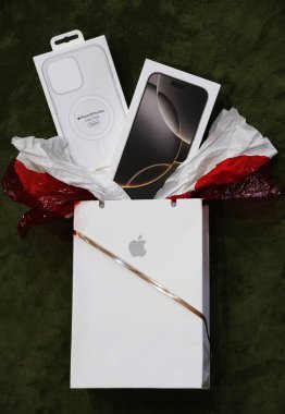 Wilmington, Delaware, ABD - 7 Kasım 2024 - Yeni iPhone 16 Pro Max açık bir koruyucu çantayla beyaz bir hediye çantasında sunuldu
