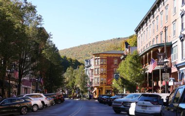 Jim Thorpe, Pennsylvania, ABD - 19 Ekim 2024 - Sonbahar yeşilliği ve tarihi mimari Sakin bir kasaba sokağı için güzel bir zemin oluşturur.