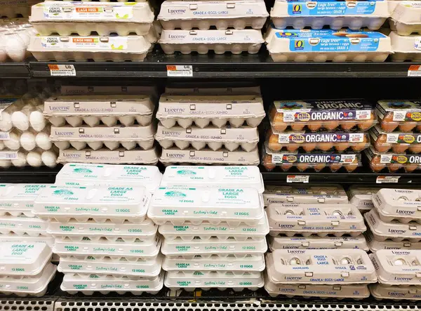 Wilmington, Delaware, ABD - 18 Mart 2025 - Market yumurta reyonu, çeşitli dereceler ve yumurta markalarıyla dolu.