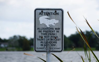 Winter Haven, Florida, ABD - 14 Kasım 2024 Ziyaretçileri olası bir timsah tehlikesi konusunda uyaran bir uyarı işareti