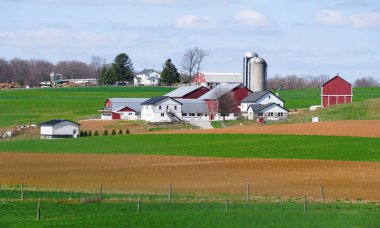 Geleneksel kırmızı ahırlar ve modern yapılar, Lancaster County, Pennsylvania, ABD yakınlarındaki titizlikle ekilmiş tarlaların arasında duruyor.