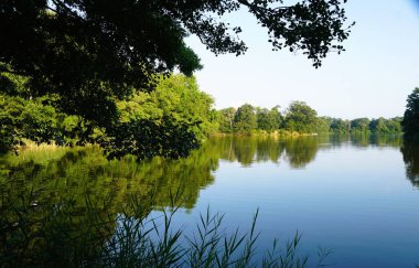 Wye Adası Eyalet Parkı, Queenstown, Maryland, ABD yakınlarındaki yemyeşil bir kanal tarafından çerçevelenmiş.