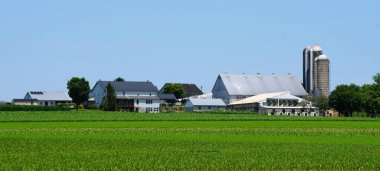 Lancaster County, Pennsylvania, ABD - 23 Temmuz 2025 - Canlı yeşil tarlaların arasına yerleşmiş Amish çiftlik binaları sergilenen pitoresk bir kırsal alan.