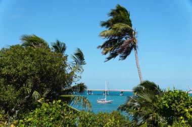 Bahia Honda State Park, Big Pine Key, Florida, ABD yakınlarındaki sallanan palmiye ağaçları ve yoğun tropikal yapraklarla çerçevelenmiş küçük bir yelkenli su üzerinde dinlenir.