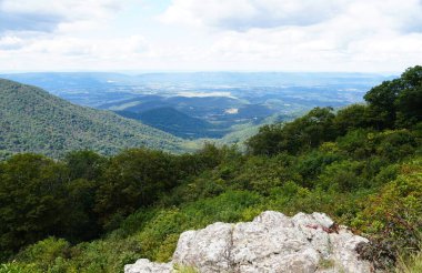 Shenandoah Ulusal Parkı, Virginia, ABD yakınlarındaki uzak bir vadiye inen yoğun orman yamaçlarından panoramik bir manzara.