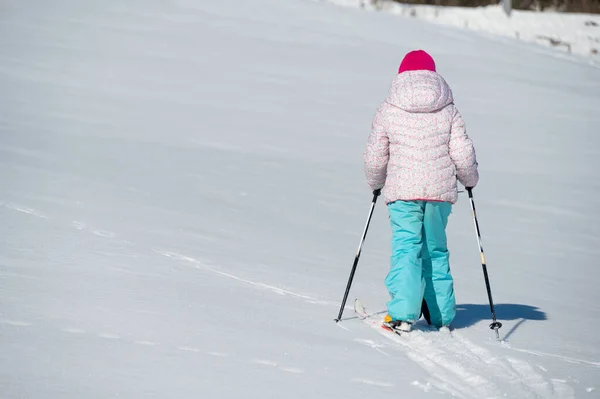 Back view of a young girl crossing a fresh snow with back country skis. Child enjoying winter freedom.