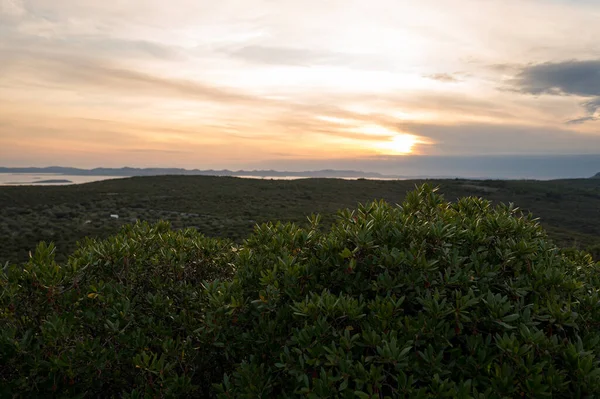 Coucher Soleil Spectaculaire Sur Île Perle Dalmate Pasman Île Croate — Photo