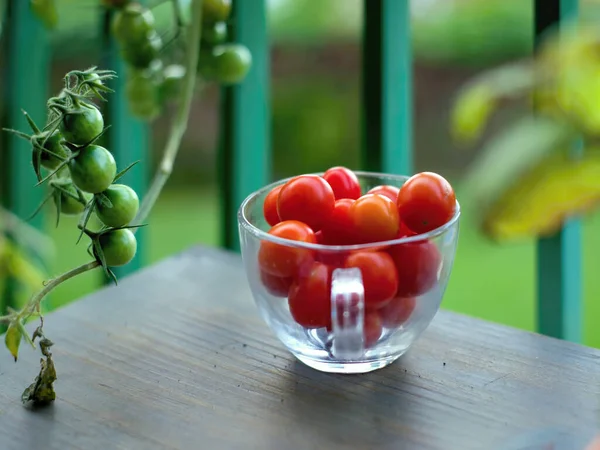 deep red cherry tomatoes in a glass jar on a wooden table. Next to it a tendril with unripe, green cherry tomatoes on a tomato plant. Background very soft with Bookeh.