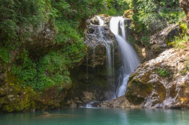 Radovna şelalesi ormanın içinden ve Slovenya 'nın Vintgar vadisindeki kayaların arasından akıyor.