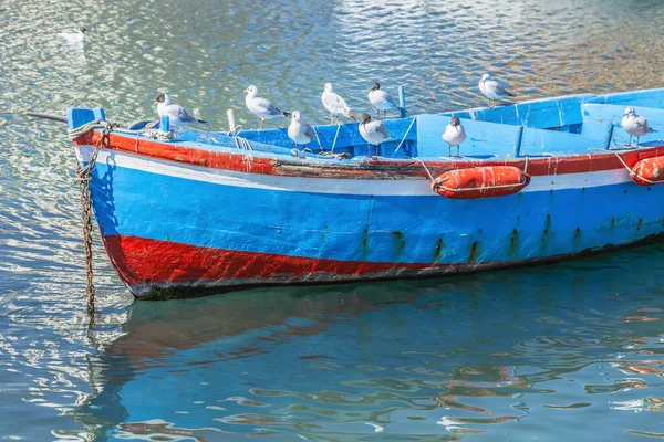 Martılar Limandaki Parlak Mavi Boyalı Küçük Bir Teknede Otururlar — Stok fotoğraf