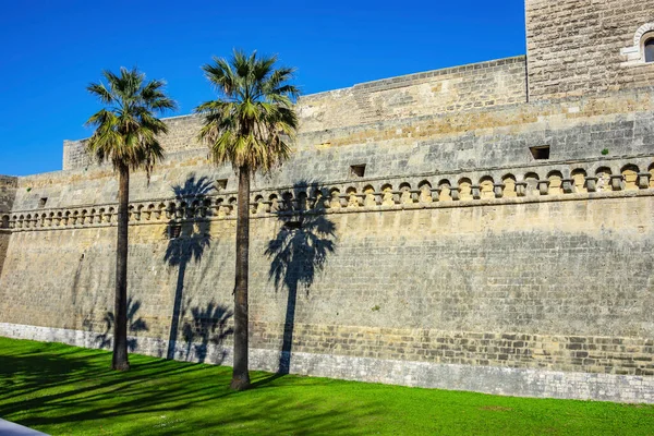 Qualche Dettaglio Con Palme Sulle Mura Esterne Del Castello Svevo — Foto Stock