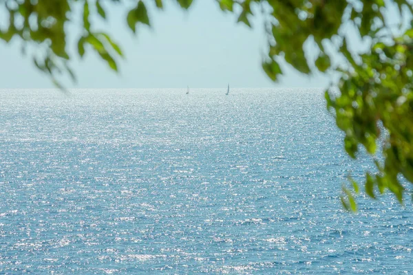 Вид Море Листьями Деревьев Переднем Плане Маленькими Пилящими Лодками Вдали — стоковое фото