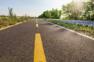 Düz bisiklet yolu ve kır yolu yan yana, ağaçlar, gölgeler ve araba, arka ışıklandırma, kırsal alan, geniş açı mercek